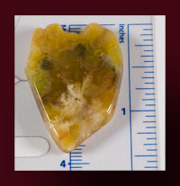 (image for) Plume Agate