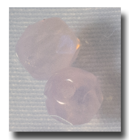 (image for) Facet Glass beads, 4mm - Pink Opal (Oct.) - 6083